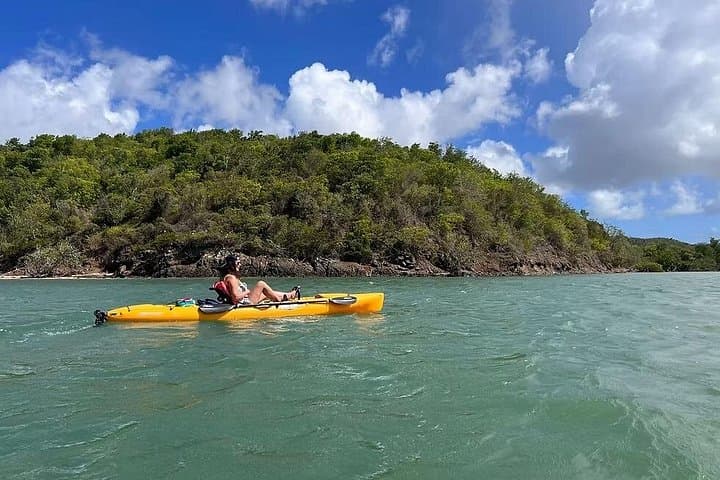 Salt River Bay Guided Kayak Tour: Ecology, Taino History & Mangroves photo 4