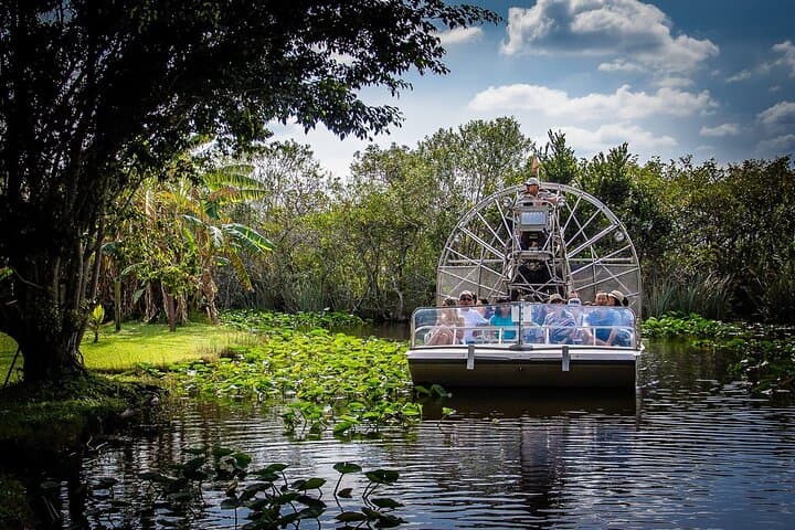 Extreme Everglades Hydroglider Adventure from Miami — Mangrove Tunnels, Alligators & Wildlife photo 4