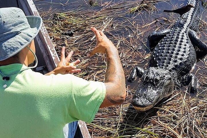 Extreme Everglades Hydroglider Adventure from Miami — Mangrove Tunnels, Alligators & Wildlife photo 3