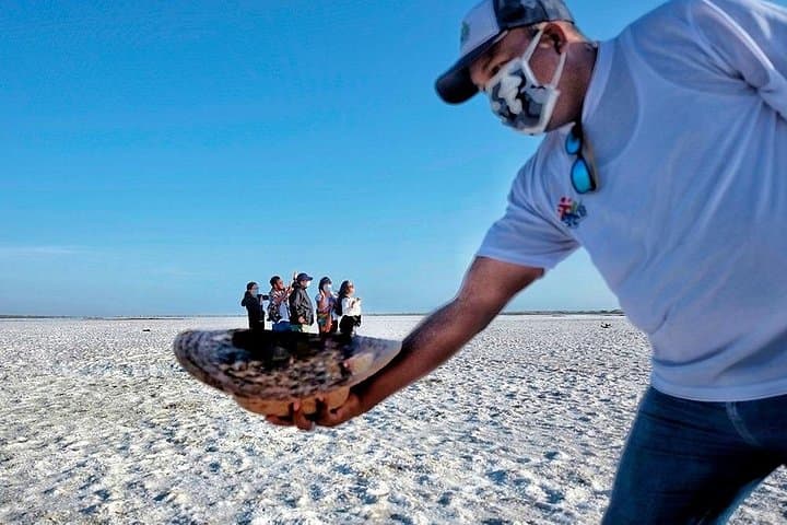 Salar de Negritos Full-Day Tour from Piura — Punta Balcones & Playa San Pablo