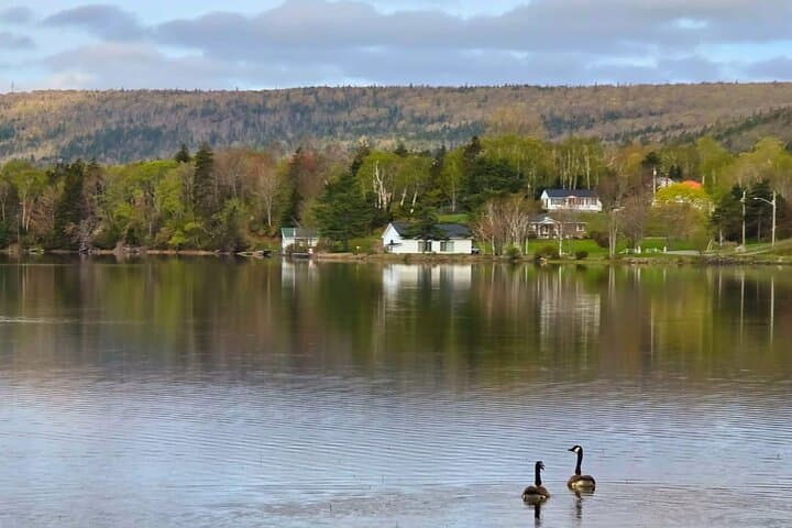 Sydney Scenic Tour: From Lakes to Waves on Cape Breton photo 3