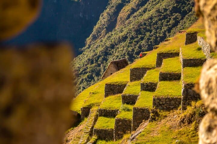 Machu Picchu Entrance Ticket: Panoramic, Classic & Royalty Circuits photo 4