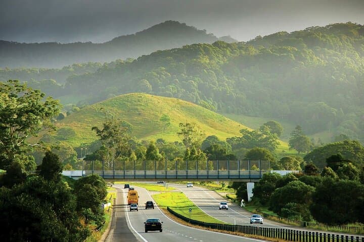 Sydney to Byron Bay Pacific Coast Road Trip: Scenic Day Tour Along the Pacific Highway
