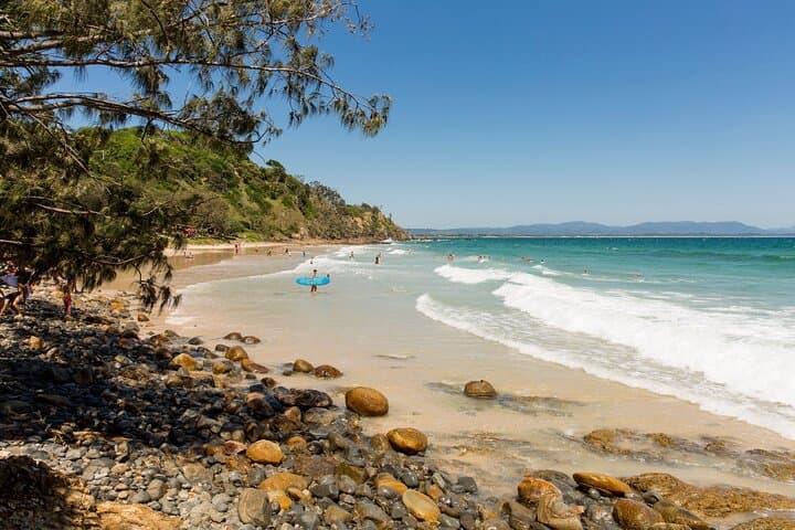 Sydney to Byron Bay Pacific Coast Road Trip: Scenic Day Tour Along the Pacific Highway photo 6