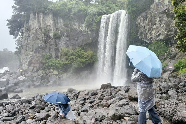 Private Jeju Spirited Garden & South Coast Tour — Jusangjeolli, Gotjawal & O'sulloc photo 6