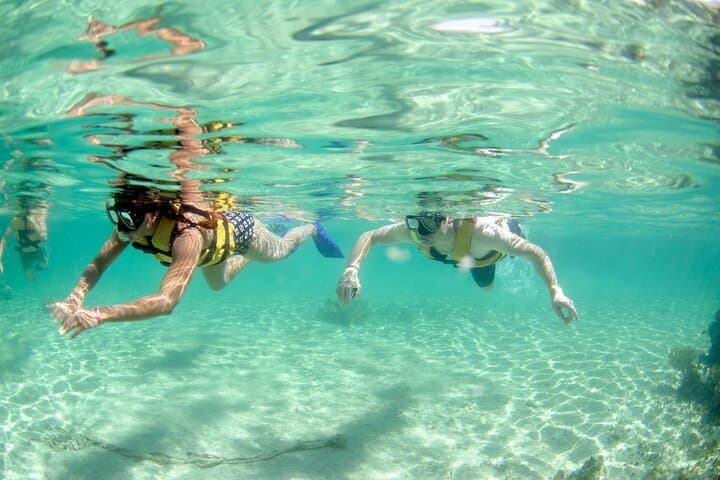 Discover El Cielo & Cozumel: Full-Day Snorkel to Palancar, Columbia and Cielo Reefs photo 3