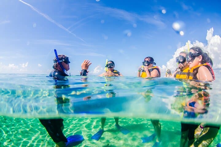 Drive Your Own Speedboat and Snorkel Ángel Reef — Cancún SpeeBoat Tour photo 6