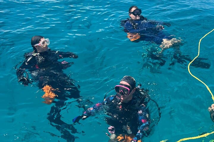 Key Largo Discover Scuba: Two-Hour Pool Training at Bayside Inn photo 3
