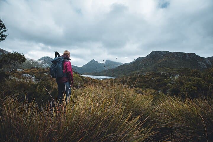 Dove Lake Guided Hike at Cradle Mountain: Day Tour from Launceston photo 2
