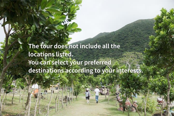 Ishigaki Private Photo Tour: Kabira Bay, Tamatorizaki & Hidden Island Gems (Half-Day) photo 6