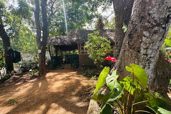 Village Cooking Class Near Sigiriya: Learn Sri Lankan Rice & Curry photo 4