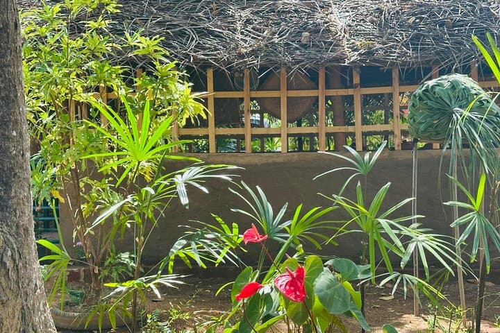 Village Cooking Class Near Sigiriya: Learn Sri Lankan Rice & Curry photo 5