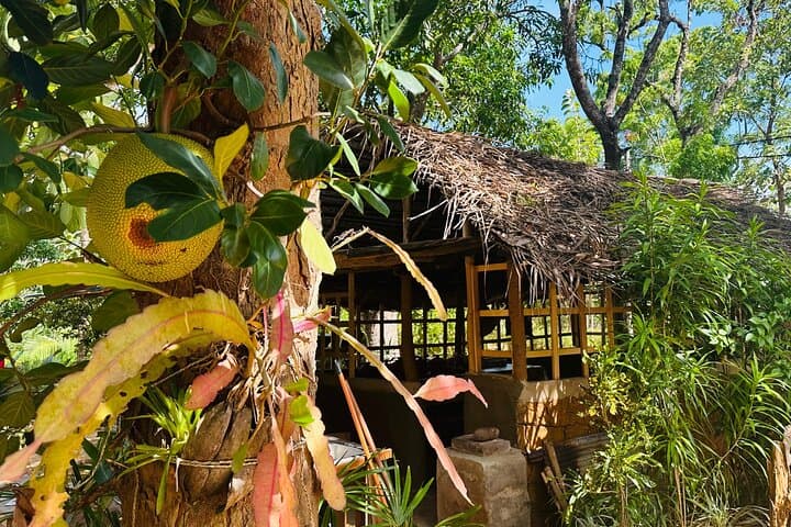 Village Cooking Class Near Sigiriya: Learn Sri Lankan Rice & Curry photo 6