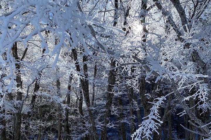 Kamikochi Taisho Pond Snowshoe Trek — Japan Alps Winter Trekking photo 4