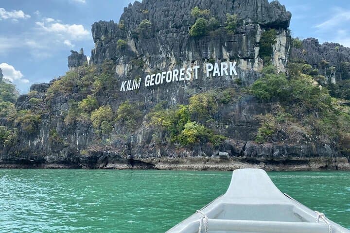 Kilim Mangrove River Cruise in Langkawi: Bat Caves, Eagles & Mangrove Ecology photo 1