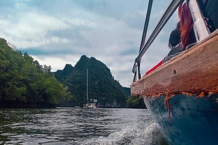 Kilim Mangrove River Cruise in Langkawi: Bat Caves, Eagles & Mangrove Ecology photo 2