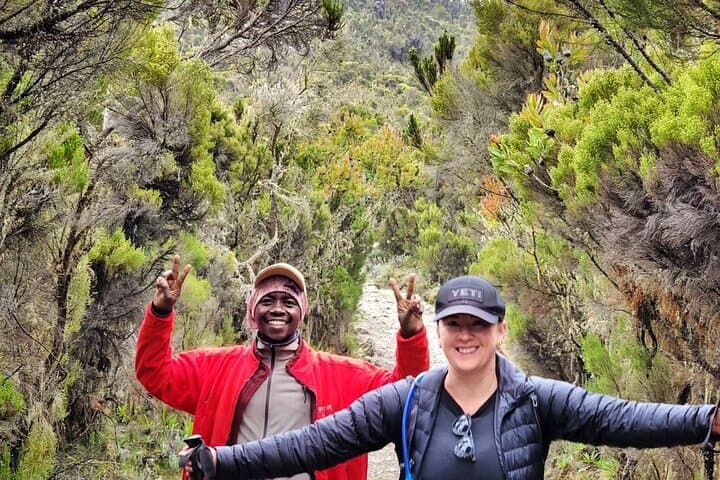 Machame Route 7-Day Kilimanjaro Climb: A Practical Guide to the Classic Ascent photo 2