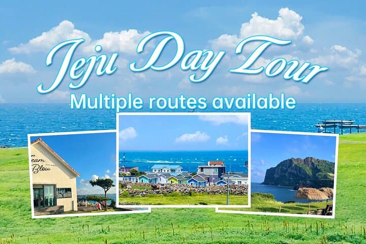 Exploring Jeju Island: Customized Private Tours of East, West & South Routes