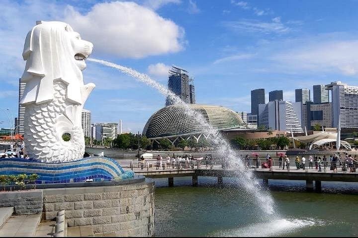 Lion City and Singapore River Cruise: Half-Day City Tour photo 1