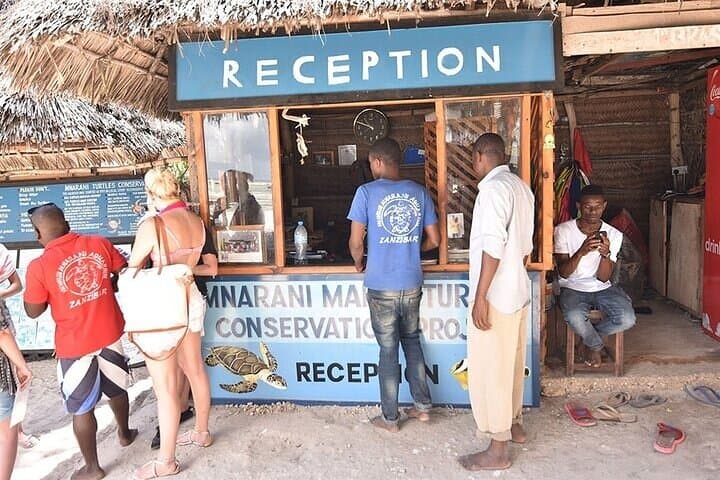 Nungwi Village & Swim with Sea Turtles: Cultural & Conservation Day Trip in Zanzibar photo 6
