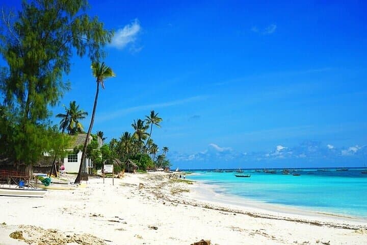 Nungwi Village & Swim with Sea Turtles: Cultural & Conservation Day Trip in Zanzibar photo 3