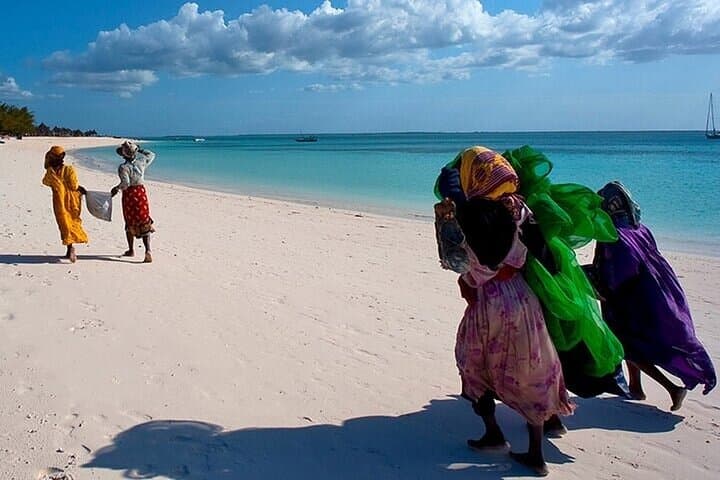 Nungwi Village & Swim with Sea Turtles: Cultural & Conservation Day Trip in Zanzibar