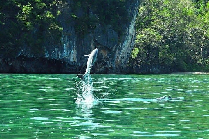 Kilim Mangrove River Cruise in Langkawi: Bat Caves, Eagles & Mangrove Ecology photo 4