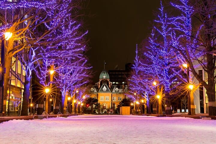 Sapporo Night Walking Tour: TV Tower & Illuminated Landmarks