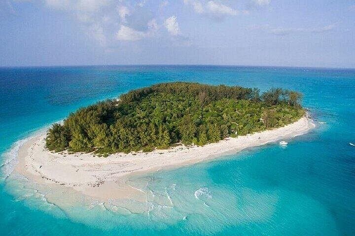 Half-Day Snorkel at Mnemba Island Marine Reserve — Zanzibar photo 2