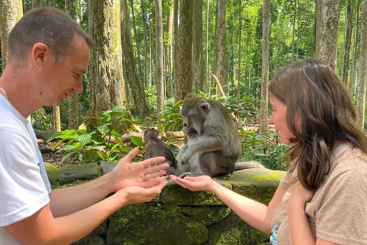 Ubud Day Trip: Monkey Forest, Tegallalang Rice Terraces & Tegenungan Waterfall photo 5