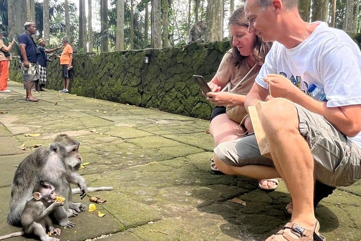Ubud Day Trip: Monkey Forest, Tegallalang Rice Terraces & Tegenungan Waterfall photo 6