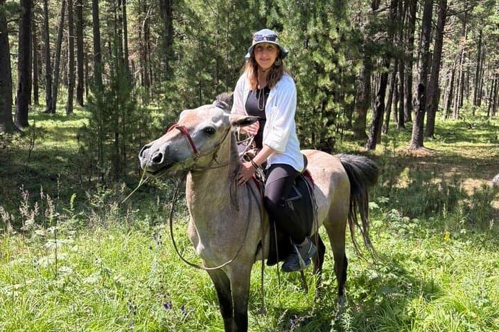Horseback Day Trip and Wild Tea Making Near Ulaanbaatar photo 2