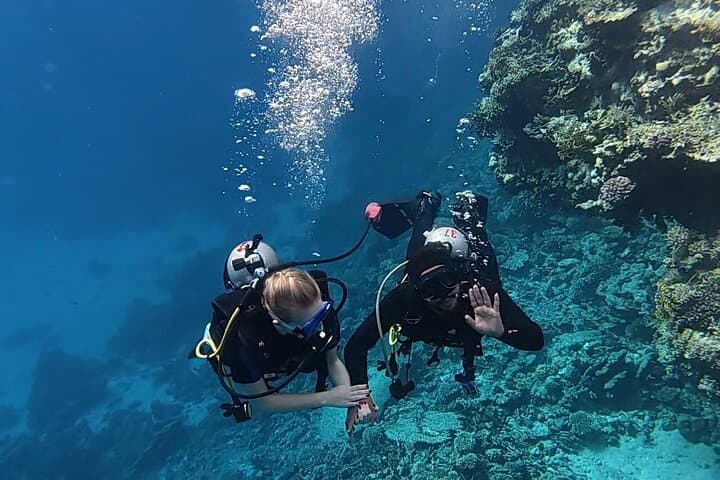 Taster Diving in Hurghada: Two Beginner Dives on the Red Sea Reefs photo 3