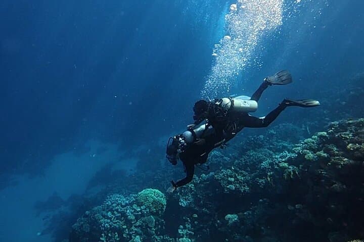 Taster Diving in Hurghada: Two Beginner Dives on the Red Sea Reefs photo 4