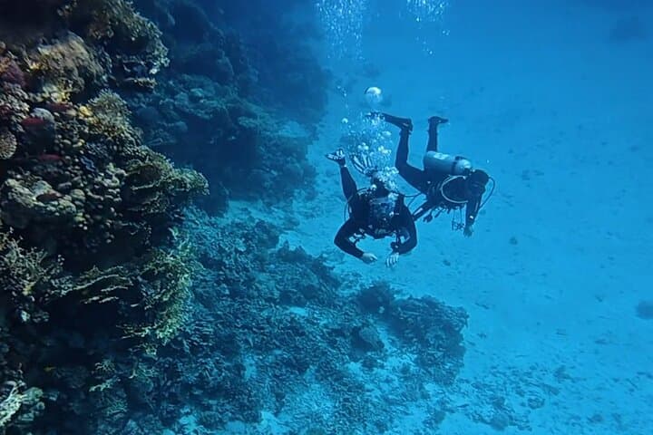 Taster Diving in Hurghada: Two Beginner Dives on the Red Sea Reefs photo 6