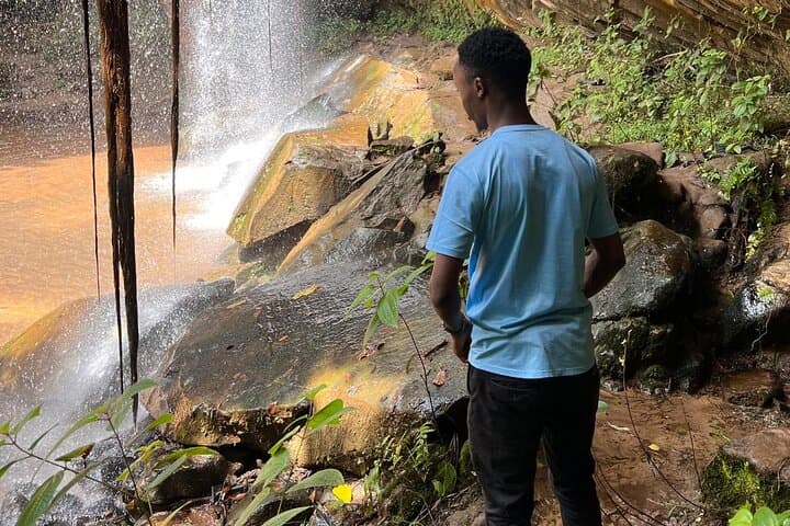 Shimba Hills & Sheldrick Waterfall Day Tour: Coastal Forest Hikes Near Diani Beach