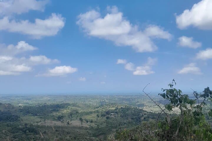 Shimba Hills & Sheldrick Waterfall Day Tour: Coastal Forest Hikes Near Diani Beach photo 6
