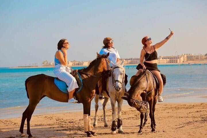 Hurghada Horseback Ride: Desert-to-Sea Beach Adventure on the Red Sea