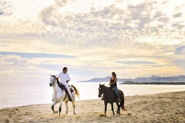 Hurghada Horseback Ride: Desert-to-Sea Beach Adventure on the Red Sea photo 2