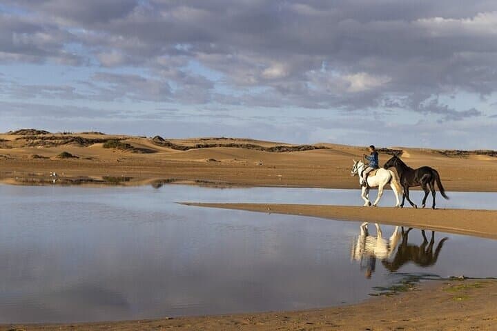 Hurghada Horseback Ride: Desert-to-Sea Beach Adventure on the Red Sea photo 3