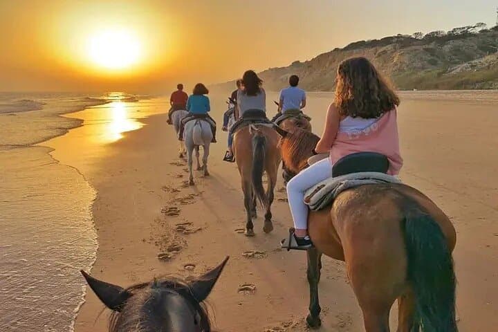 Hurghada Horseback Ride: Desert-to-Sea Beach Adventure on the Red Sea photo 4