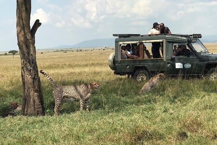 3-Day Maasai Mara Private Safari: Big Five, Mara River & Maasai Village