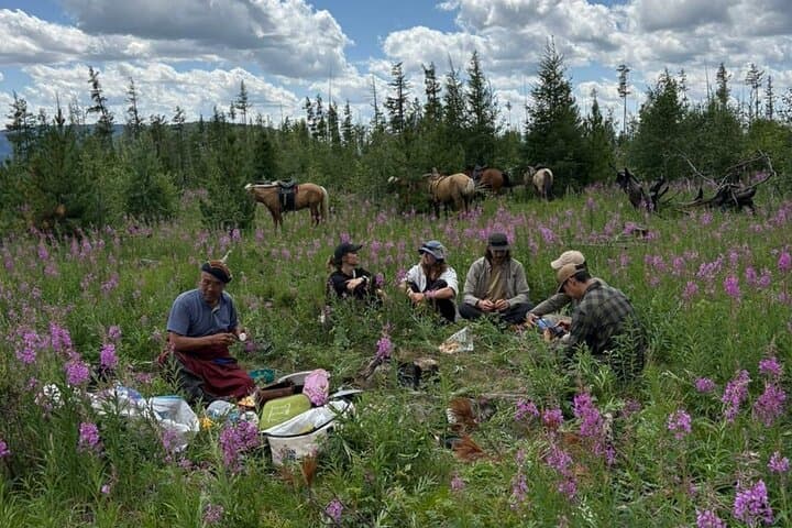 Horseback Day Trip and Wild Tea Making Near Ulaanbaatar photo 3