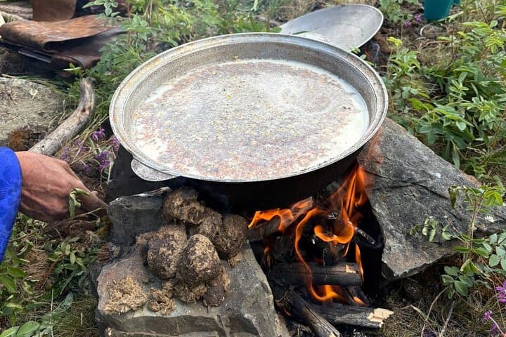 Horseback Day Trip and Wild Tea Making Near Ulaanbaatar photo 5