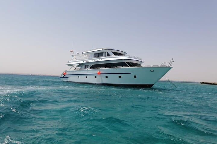 Hurghada Dolphin House: Half-Day Boat & Snorkel Adventure in the Red Sea photo 4