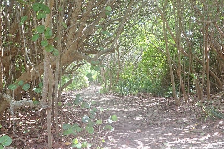 South Shore Selfie Tour — Hidden Beaches & Pink Sands of Bermuda photo 4