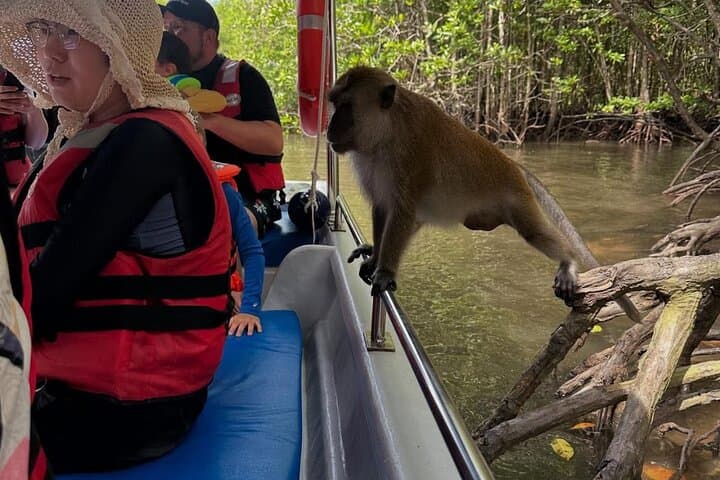 Langkawi Unleashed: Mangrove Boat, Batik Workshop & Durian Perangin Waterfall photo 5