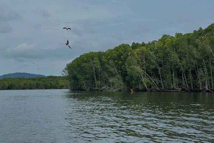 Langkawi Unleashed: Mangrove Boat, Batik Workshop & Durian Perangin Waterfall photo 6