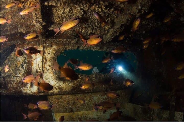 Dubai Wreck Diving from Port Rashid — Private Guided Boat Dives photo 3