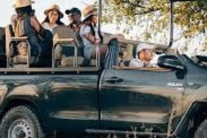 Full-Day Zambezi Game Drive & Victoria Falls Guided Experience photo 6